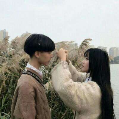 拯救精灵的土地7